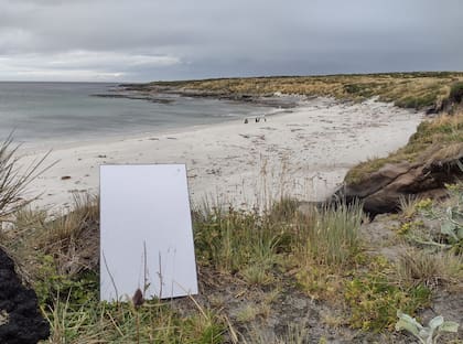 La antena de Starlink, parte del hardware que se abona por única vez; después se paga la suscripción al plan seleccionado