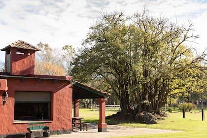 La antigua Bamba Chica es ahora El Paso de Areco.