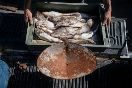 La antigua y oxidada balanza está al resguardo en un baúl dentro de un quincho y la sacan cada vez que regresan de pescar para pesar los cajones