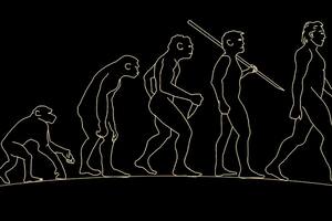 La antropología, cuyo día se celebra este 27 de julio en la Argentina, busca el estudio integral del ser humano y analiza su evolución, entre otras cosas