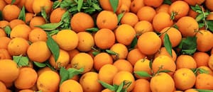 La naranja y la mandarina se quedaron afuera del documento, pero apuestan a una negociación pendiente