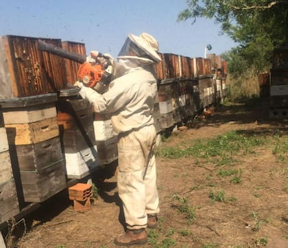“La apicultura es un trabajo que te lleva mucho tiempo, pero es muy reconfortante trabajar con las abejas”, señala la productora