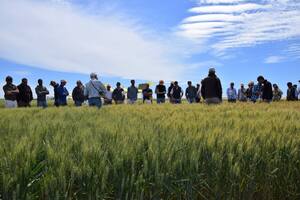 Alertan que faltan fungicidas para el campo por las restricciones para importar