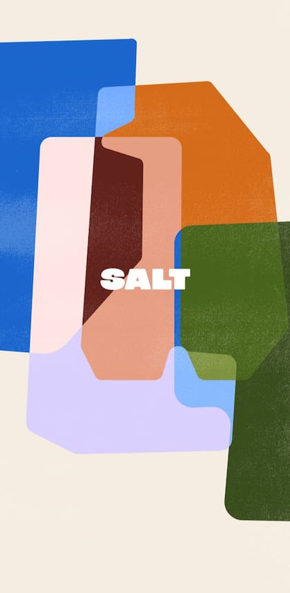 La aplicación SALT ya tiene presencia en más de 40 países
(Foto: captura de pantalla)