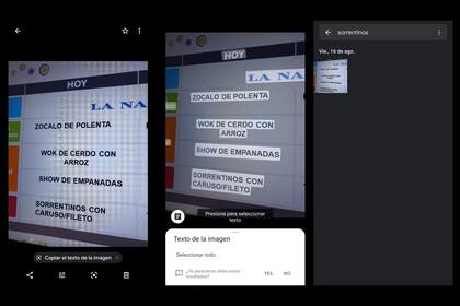 La app de Google Fotos permite identificar el texto en una imagen y copiarlo; el buscador en la aplicación y la Web habilita ubicar una foto por las palabras presentes en la imagen (las dos operaciones son independientes)