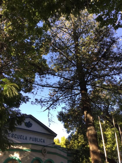 La araucaria de la Escuela Nro. 2, situada en la actual calle Rivadavia, en los terrenos que ocupó la granja. La tradición sostiene que fue plantada por el desterrado argentino.