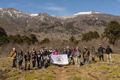 La araucaria es un árbol único en el mundo por su valor ecológico, cultural, sagrado y como fuente de alimento para pobladores originarios.