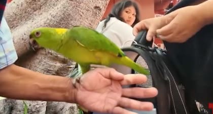 La areja vuelve a México junto a Petaca, su cotorra, a la que consideran su “compañera terapéutica”