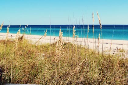 La arena del litoral de Henderson Beach State Park data de hace 20.000 años