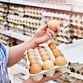 La Argentina completó en tiempo récord la cuota de exportación de huevos a la Unión Europea