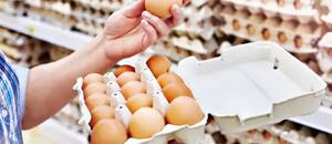 La Argentina completó en tiempo récord la cuota de exportación de huevos a la Unión Europea