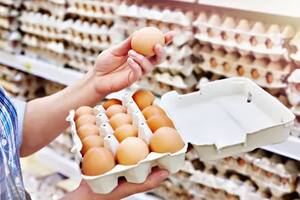 La Argentina completó en tiempo récord la cuota de exportación de huevos a la Unión Europea