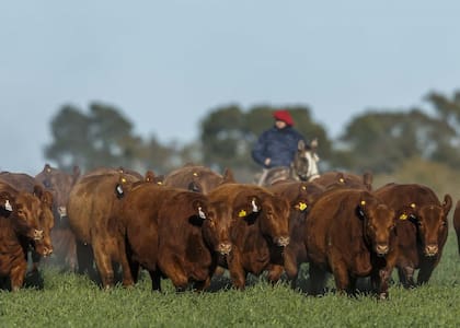 ”La Argentina debe sostener mecanismos públicos, transparentes y no excluyentes, evitando cargas innecesarias y la cesión indiscriminada de información estratégica", dijeron las entidades y productores