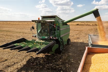La Argentina destina el 3% de su cosecha de maíz para etanol