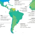 La Argentina cayó 18 lugares en un ranking global que mide la calidad de las élites y es una de las más bajas de la región