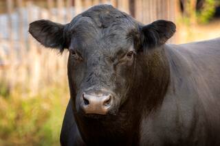 Un trabajo profesional, una imagen ganada y la conquista de más mercados en el mundo