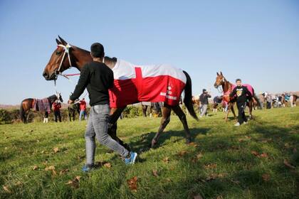 La Argentina oscila entre el cuarto y el quinto puestos de los países productores mundiales de caballos de carrera