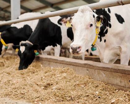 La Argentina podrá seguir accediendo a información clave