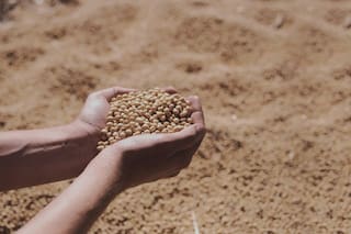 Por qué la Argentina no tiene crédito