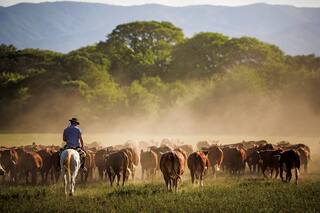 Opinión. Postpandemia de coronavirus: un mundo más exigente nos espera