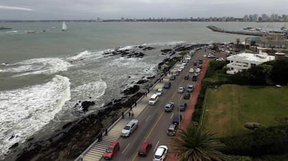 La Argentina tuvo un nuevo récord en la primera mitad del año