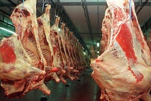 Se registró un fuerte salto de las exportaciones de carne vacuna y dejaron más de US$730 millones