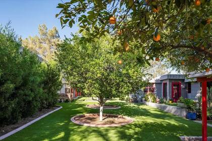 La arquitectura de la casa se integra con su entorno, con paisajismo, árboles frutales y césped artificial