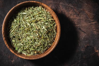 La artemisa, también conocida como tabaco marino o ajenjo bastardo, es originaria de Europa, África, Asia e Indochina, aunque se adaptó muy bien en América del Norte (Foto Pexels)