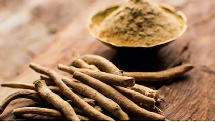 La Ashwagandha es ideal para combatir la ansiedad y el estrés