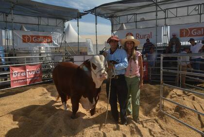 La Asociación Braford Argentina (ABA) llevará a cabo su Jornada el martes 5 en el Auditorio Carne Argentina