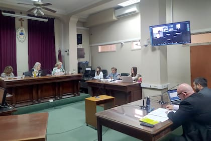 La audiencia de ayer en el juicio a la narcomodelo