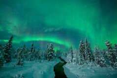 El maravilloso espectáculo celestial de las auroras boreales