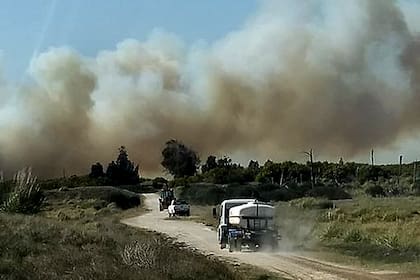 La ausencia de lluvias durante los últimos días aportó a las condiciones para que la vegetación se incendie con mayor facilidad