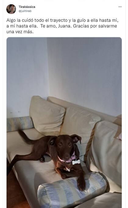 La autora de la publicación compartió su alivio de encontrar a su perrita.