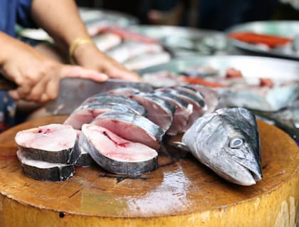 La Autoridad Europea de Seguridad Alimentaria emitió alertas sobre la exposición a metales pesados derivada del consumo de peces grandes, sugiriendo limitar su ingesta
