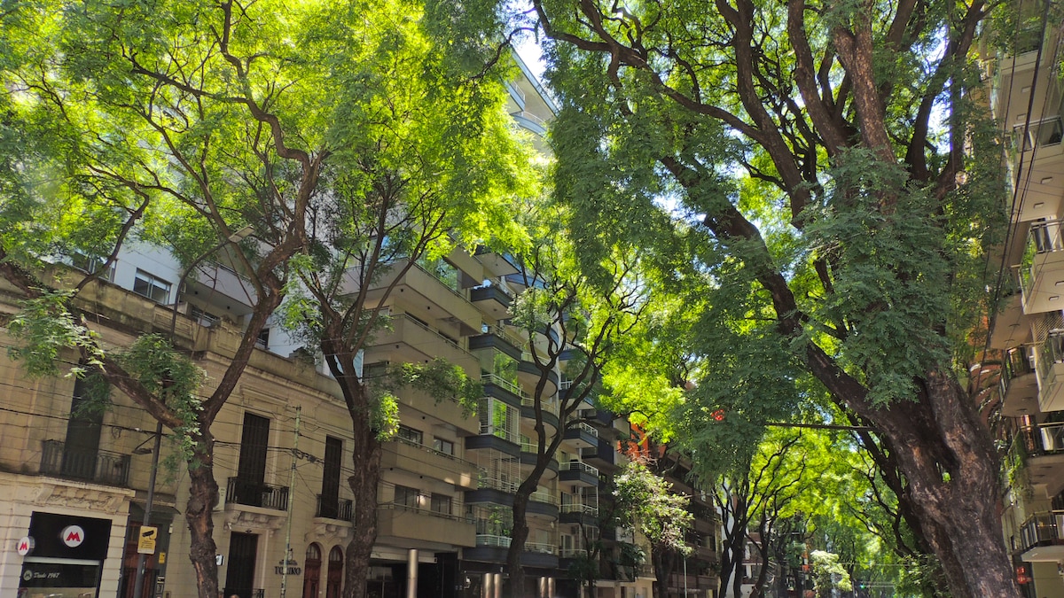 Avenida Exclusiva: Edificios en Construcción Cada Dos Cuadras a Precios de Palermo