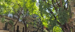 La exclusiva avenida en la que hay un proyecto de lujo en construcción cada dos cuadras