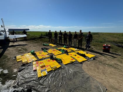 La avioneta transportaba 359 kilos de cocaina