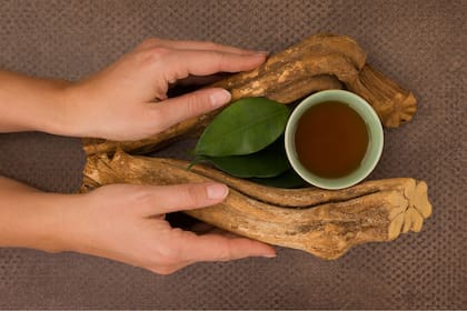 La ayahuasca es un brebaje milenario