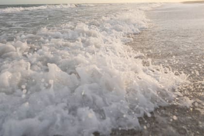 La bacteria Vibrio vulnificus puede entrar en contacto con las personas a través de las heridas