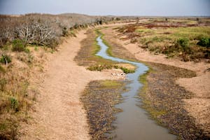 Bajante del Paraná: estiman que sin un sobredragado habrá mayores costos logísticos