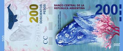 La ballena franca austral, la figura del billete de 200 pesos