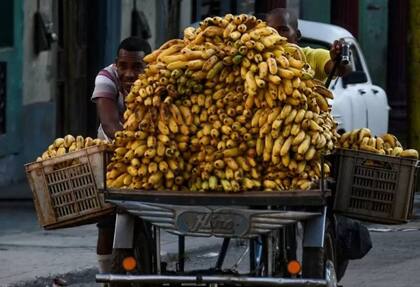 La banana es la fruta más elegida por el latino, pero tiene más azúcar que la mandarina, por ejemplo