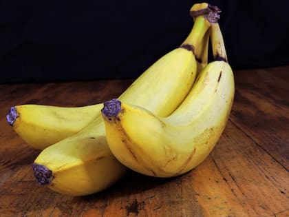 La banana, un buen alimento para tu mascota (Foto de carácter ilustrativo: PIXABAY)