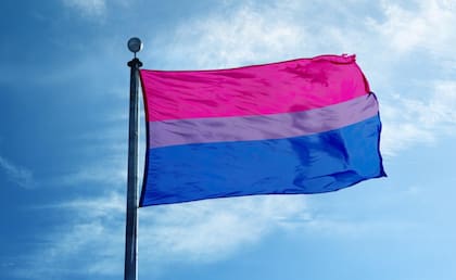 La bandera bisexual fue diseñada por Michael Page, uno de los impulsores del Día Internacional de la Bisexualidad.