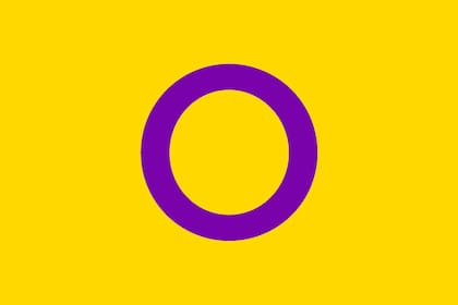 La bandera del orgullo intersexual