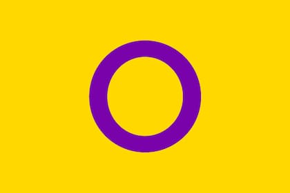 La bandera del orgullo intersexual