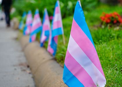 La bandera trans sirve para identificar a este grupo dentro del colectivo  LGBTIQ+ (foto: TED EYTAN / CC BY-SA 2.0)