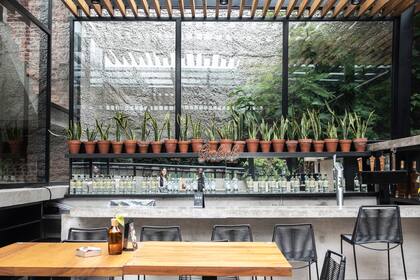 La barra exterior de hormigón se mimetiza con la vegetación. Una línea de macetas de terracota con sansevierias actúa de fondo.