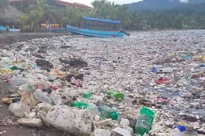 La basura provoca daños al ecosistema del lugar y es dañino para las actividades económicas de la zona, la pesca y el turismo